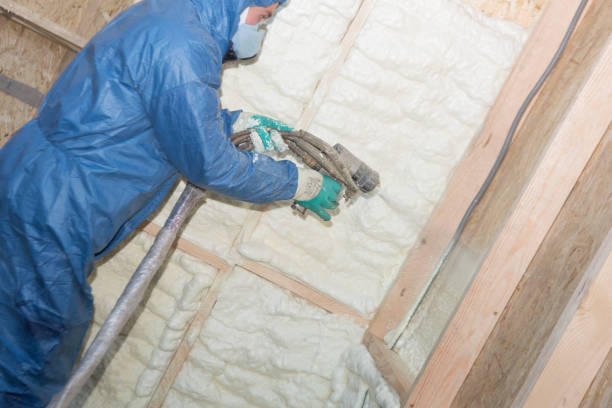 Types of Insulation We Offer in Loughman, FL